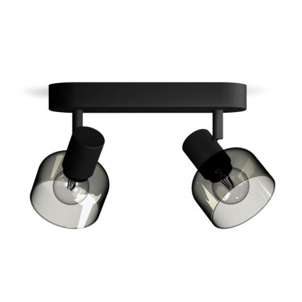 Philips - Akcentinis apšvietimas SLEET 2xE14/25W/230V