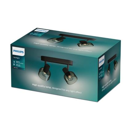 Philips - Akcentinis apšvietimas SLEET 2xE14/25W/230V