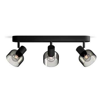Philips - Akcentinis apšvietimas SLEET 3xE14/25W/230V