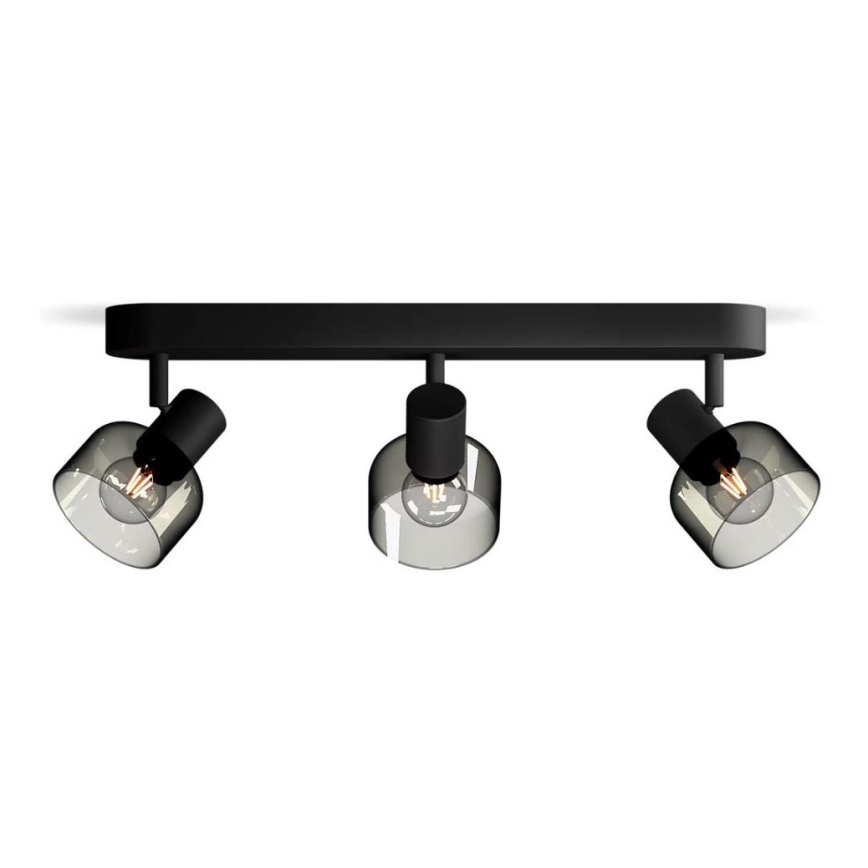 Philips - Akcentinis apšvietimas SLEET 3xE14/25W/230V