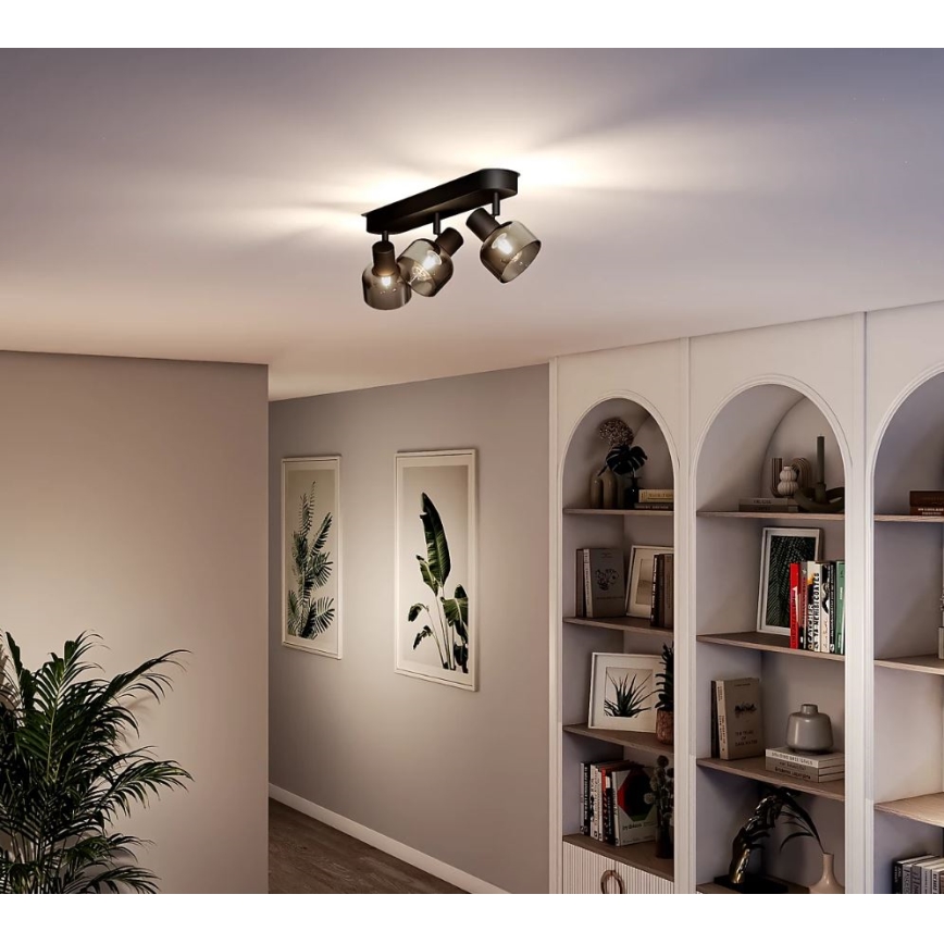 Philips - Akcentinis apšvietimas SLEET 3xE14/25W/230V