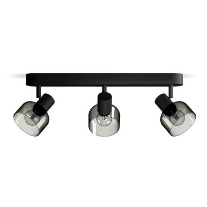 Philips - Akcentinis apšvietimas SLEET 3xE14/25W/230V