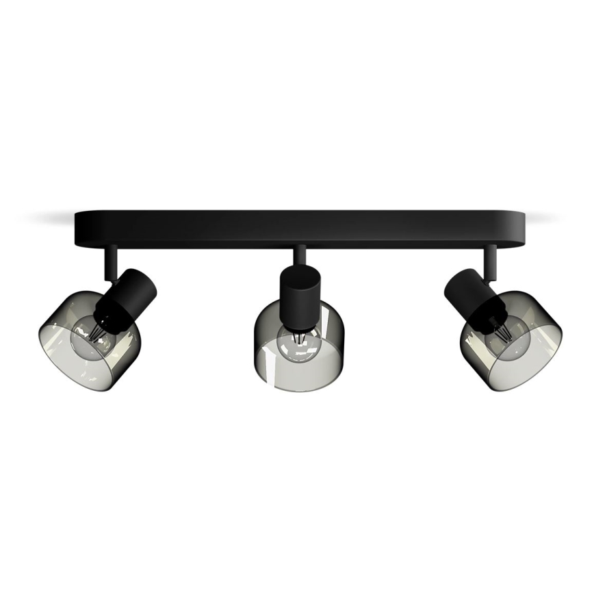 Philips - Akcentinis apšvietimas SLEET 3xE14/25W/230V