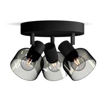 Philips - Akcentinis apšvietimas SLEET 3xE14/25W/230V