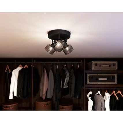 Philips - Akcentinis apšvietimas SLEET 3xE14/25W/230V