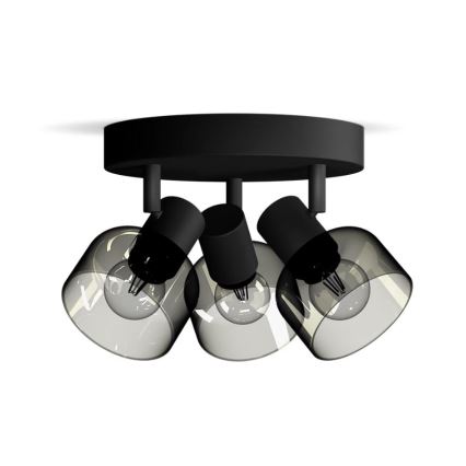 Philips - Akcentinis apšvietimas SLEET 3xE14/25W/230V