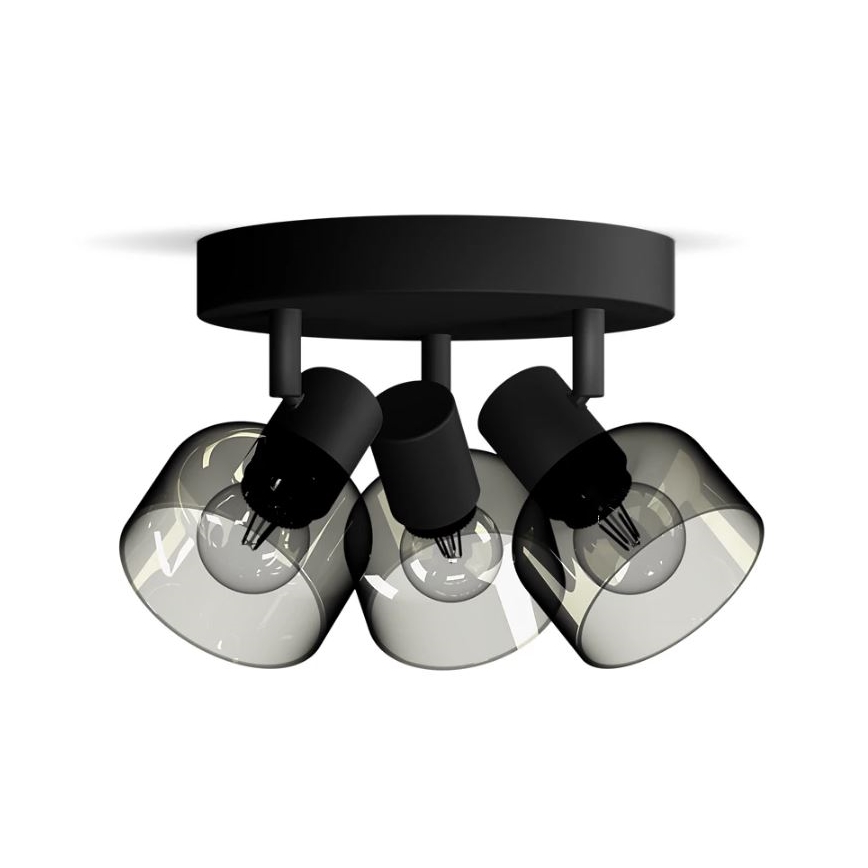 Philips - Akcentinis apšvietimas SLEET 3xE14/25W/230V