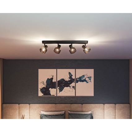 Philips - Akcentinis apšvietimas SLEET 4xE14/25W/230V