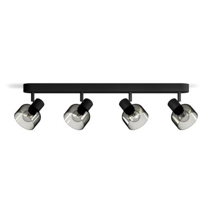Philips - Akcentinis apšvietimas SLEET 4xE14/25W/230V