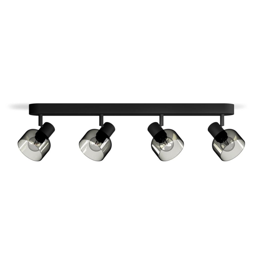 Philips - Akcentinis apšvietimas SLEET 4xE14/25W/230V