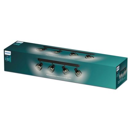 Philips - Akcentinis apšvietimas SLEET 4xE14/25W/230V
