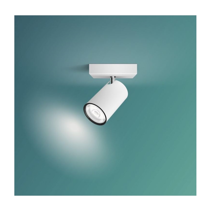 Philips - Akcentinis šviestuvas KOSIPO 1xGU10/5,5W/230V baltas