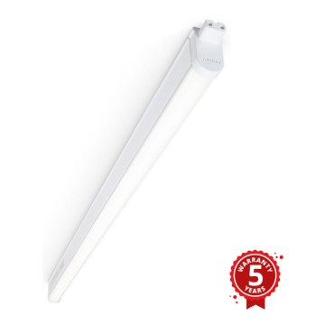 Philips BN132C LED12S/840 PSU L1200 - Liuminescencinis LED šviestuvas LED/14W/230V IP40