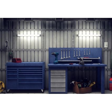 Philips - Didelio našumo LED šviestuvas PROJECTLINE LED/18W/230V 58 cm IP65