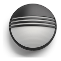 Philips - Lauko LED sieninis šviestuvas LED/6W/230V IP44