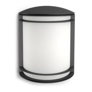 Philips - Lauko sieninis šviestuvas LED/6W/230V IP44