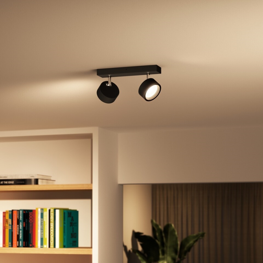 Philips - LED akcentinis šviestuvas 2xLED/5,5W/230V juoda
