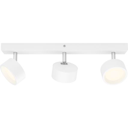 Philips - LED akcentinis šviestuvas 3xLED/5,5W/230V balta