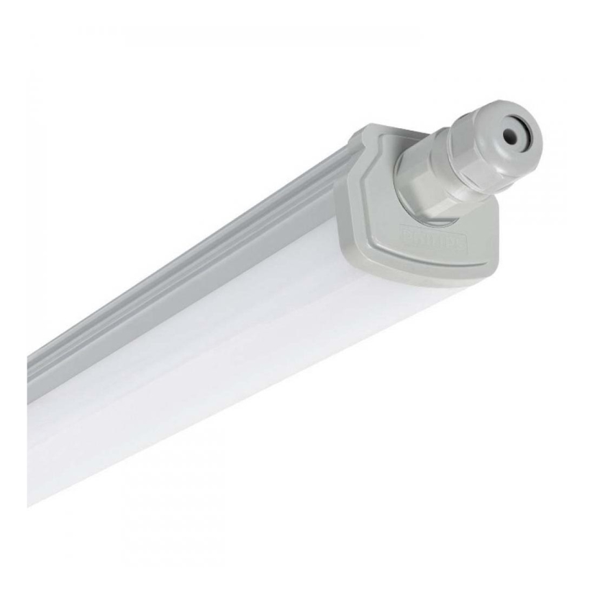 Philips - LED darbo šviestuvas LED / 30W / 230V IP66