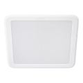 Philips - LED įleidžiamas šviestuvas MESON LED/13W/230V 4000K 14x14 cm