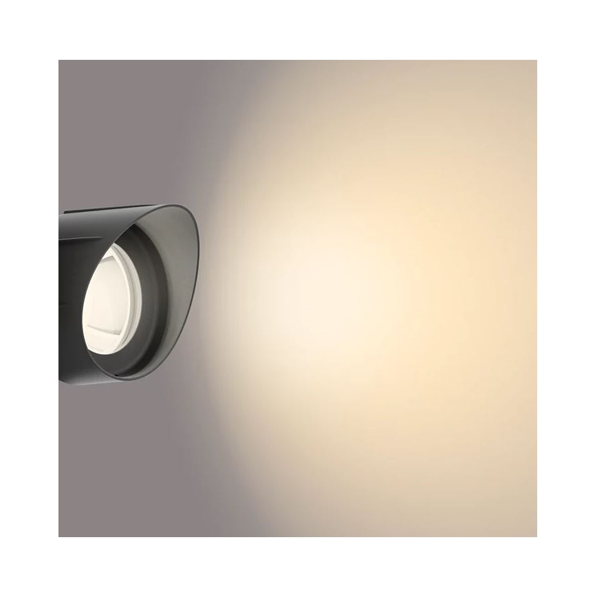 Philips - LED Lauko prožektorius LED/24W/230V 2700K IP44
