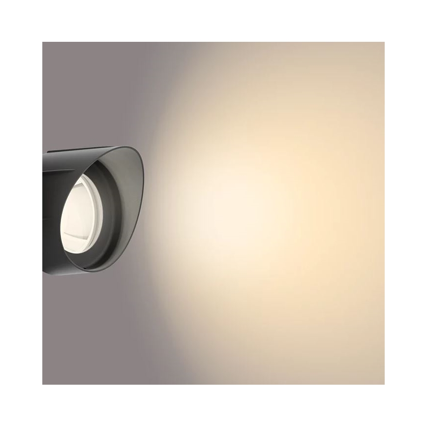 Philips - LED Lauko prožektorius LED/6W/12V 2700K IP44