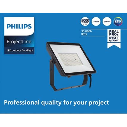 Philips - LED Lauko prožektorius PROJECTLINE LED/100W/230V IP65 3000K