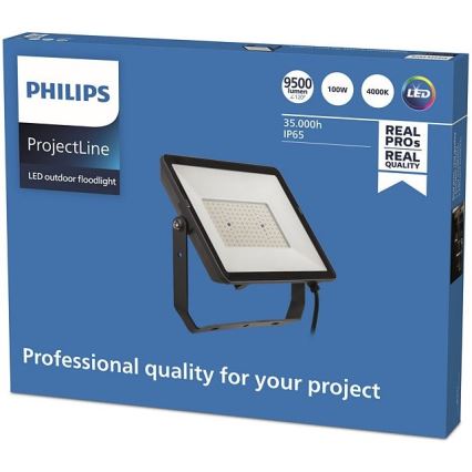 Philips - LED Lauko prožektorius PROJECTLINE LED/100W/230V IP65 4000K