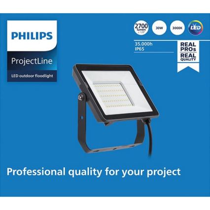 Philips - LED Lauko prožektorius PROJECTLINE LED/30W/230V IP65 3000K