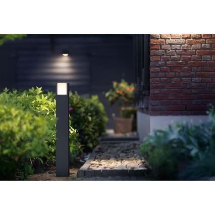 Philips - LED lauko šviestuvas ARBOUR LED/3,8W/230V 77 cm 2700K IP44