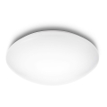 Philips - LED lubinis šviestuvas LED/24W/230V