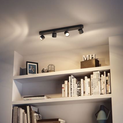 Philips - LED pritemdomas akcentinis apšvietimas 4xLED/4,5W/230V