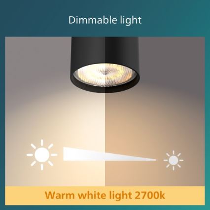 Philips - LED pritemdomas akcentinis apšvietimas 4xLED/4,5W/230V