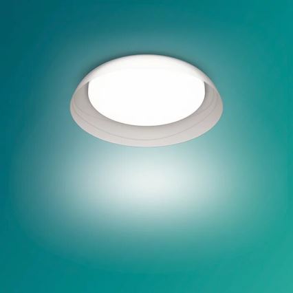 Philips - LED Pritemdomas lubinis šviestuvas FLETA SCENE SWITCH LED/10W/230V 4000K permatoma
