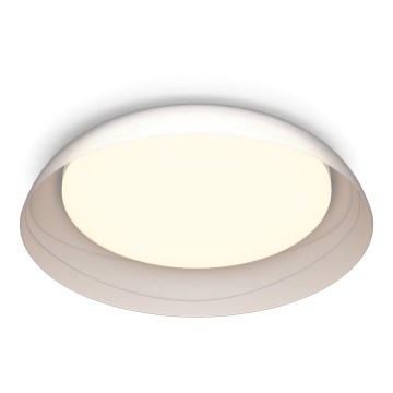 Philips - LED Pritemdomas lubinis šviestuvas FLETA SCENE SWITCH LED/10W/230V 2700K permatoma