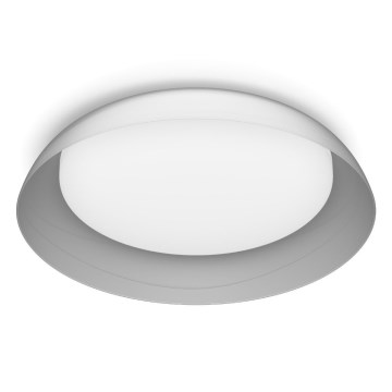 Philips - LED Pritemdomas lubinis šviestuvas FLETA SCENE SWITCH LED/10W/230V 4000K permatoma