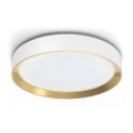 Philips - LED Pritemdomas lubinis šviestuvas HANNO LED/24W/230V 2700K balta