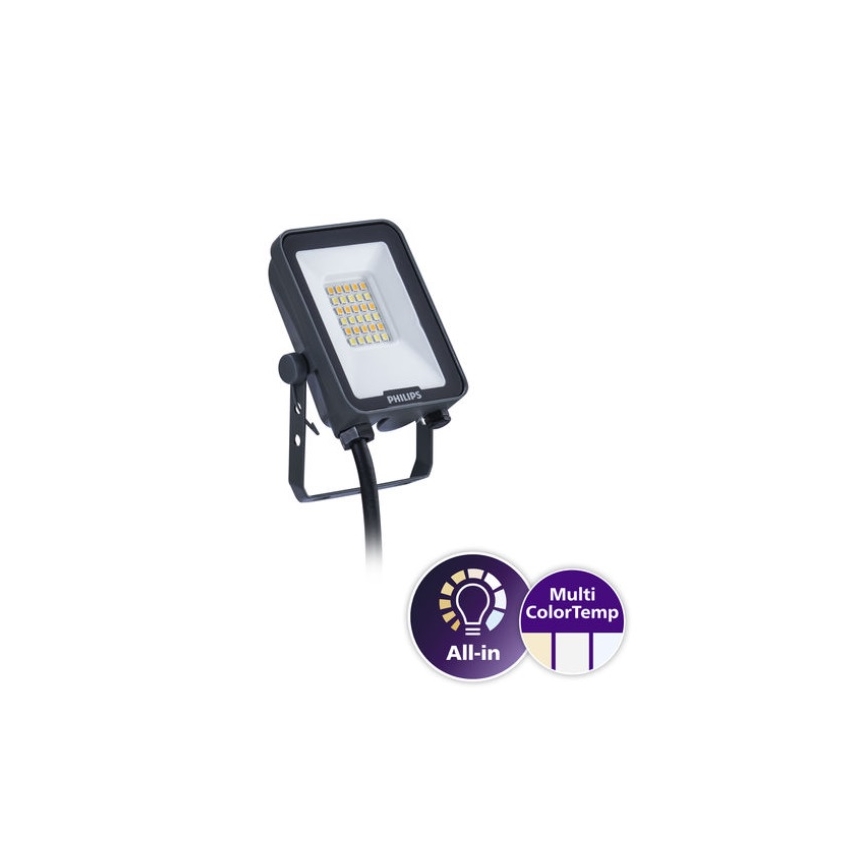 Philips - LED prožektorius LED/10W/230V 3000/4000/6500K IP65