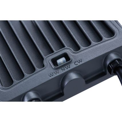 Philips - LED prožektorius LED/10W/230V 3000/4000/6500K IP65