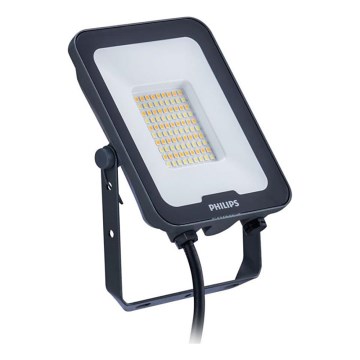 Philips - LED prožektorius LEDINAIRE ALL-IN LED/30W/230V 3000/4000/6500K IP65