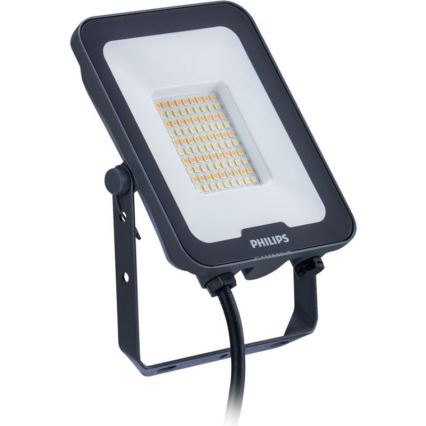 Philips - LED prožektorius LEDINAIRE ALL-IN LED/30W/230V 3000/4000/6500K IP65