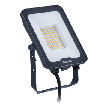 Philips - LED prožektorius LEDINAIRE ALL-IN LED/50W/230V 3000/4000/6500K IP65 antracitas