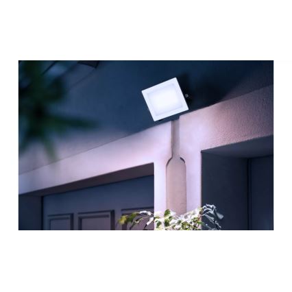Philips - LED prožektorius LOIS LED/30W/230V IP65 5000K