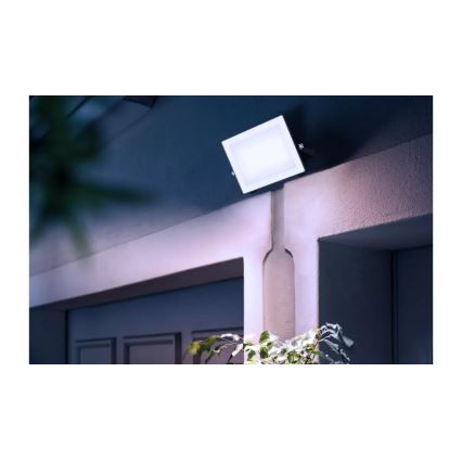 Philips - LED prožektorius LOIS LED/50W/230V IP65 5000K