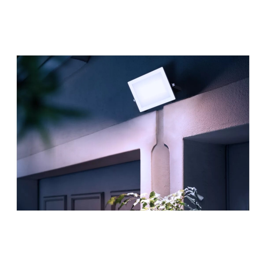 Philips - LED prožektorius LOIS LED/50W/230V IP65 5000K