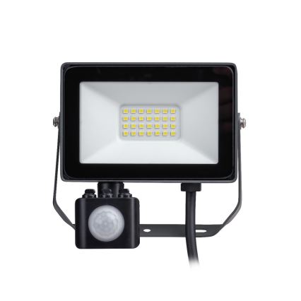 Philips - LED prožektorius su judesio davikliu DECOFLOOD LED/20W/230V IP65
