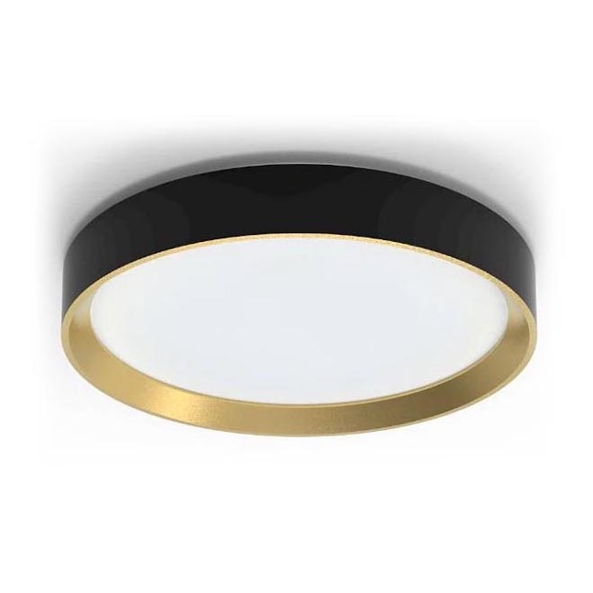 Philips - LED reguliuojamas lubinis šviestuvas HANNO LED/24W/230V 2700K juodas