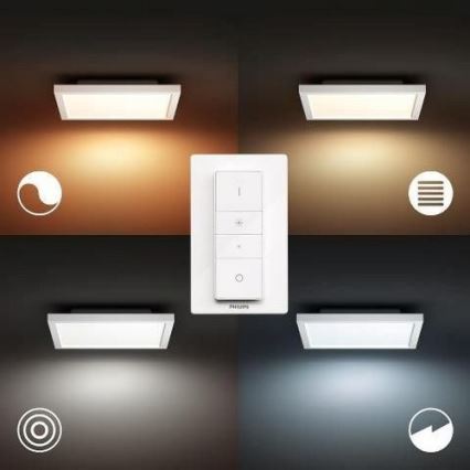 Philips - LED Reguliuojamas lubinis šviestuvas Hue LED/19W/230V 2200-6500K + valdymo pultas