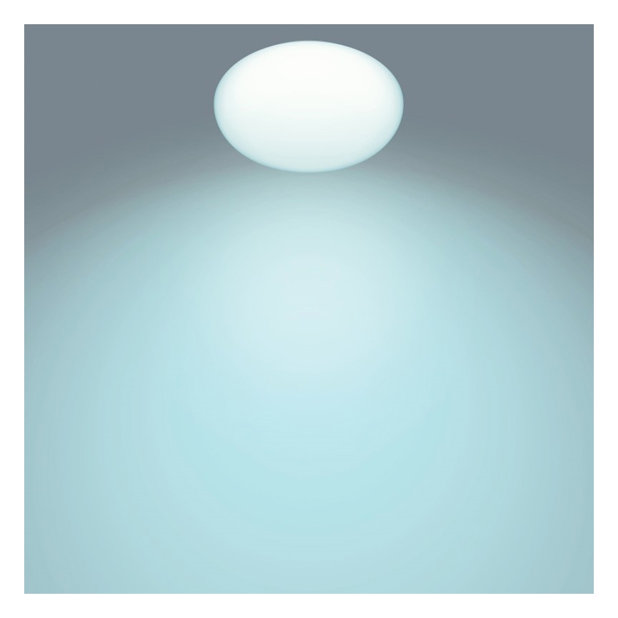 Philips - LED Reguliuojamas lubinis šviestuvas 1xLED/23W/230V + VP