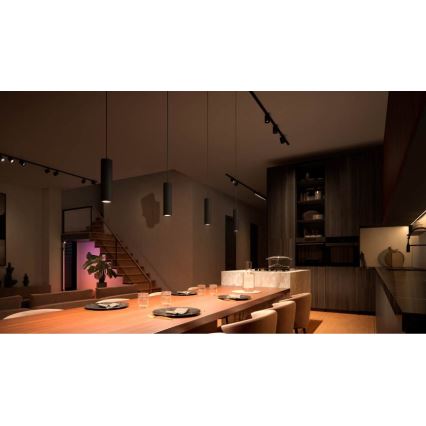 Philips - LED RGB dimeriuojamas pakabinamas šviestuvas ant laido, skirtas Hue bėgelių sistemai PERIFO LED RGB/5,2W/24V 2000-6500K